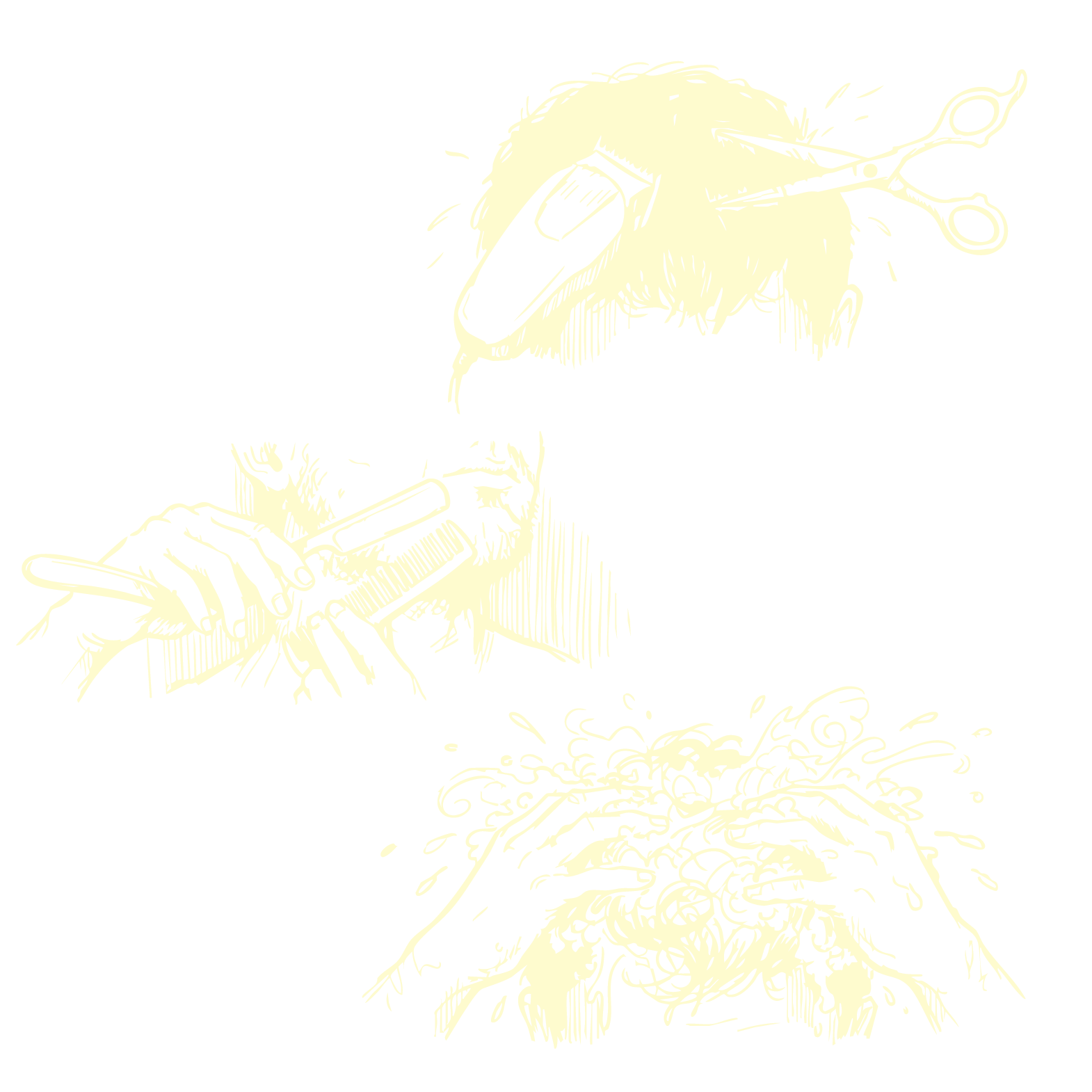 Taglio Barba e Shampoo